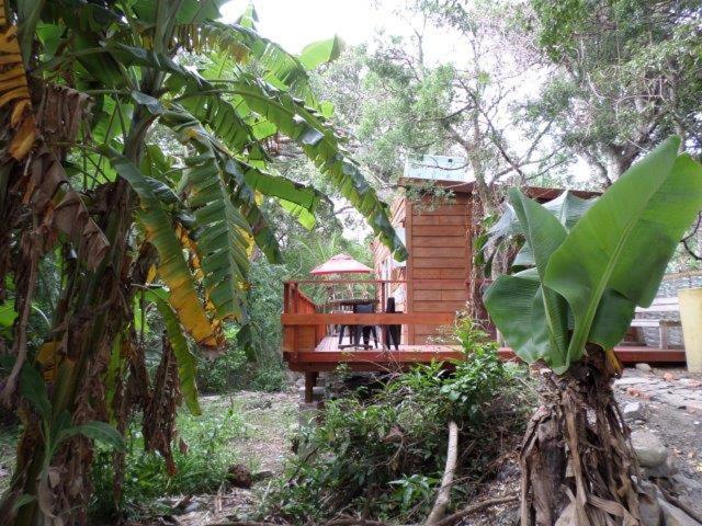 Yellowwood Forest Eco Retreat Morgan's Bay Bagian luar foto
